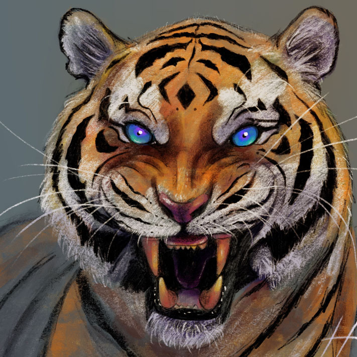 Blue Eyed Tiger