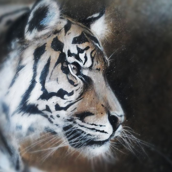 Traditional Tiger