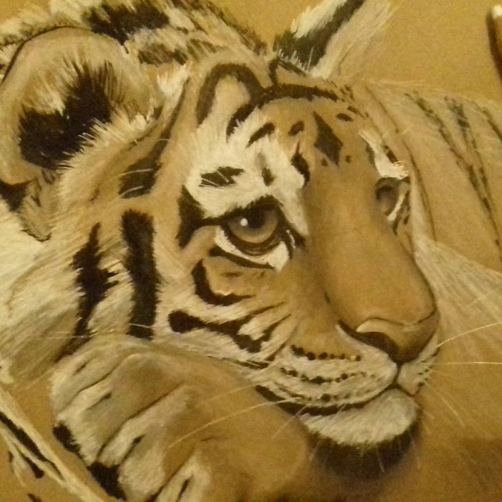 Baby Tiger